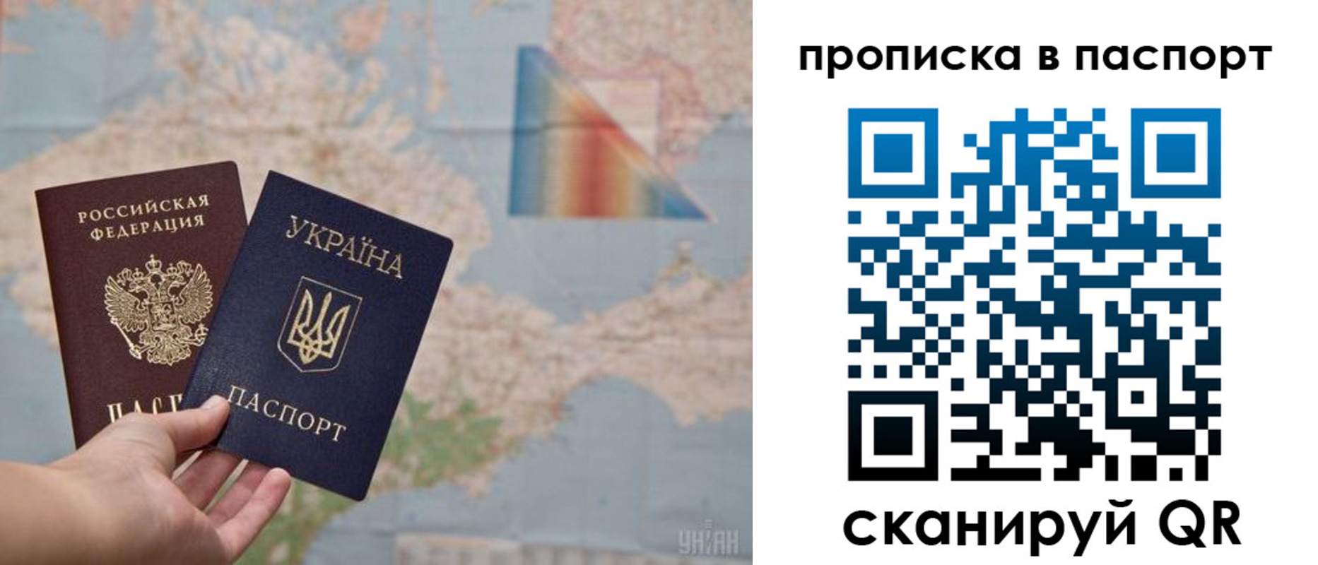 где прописаться в Павловске