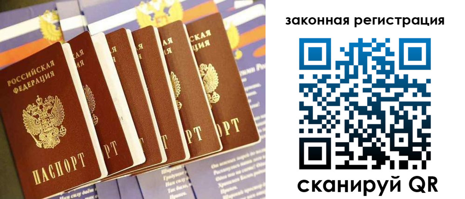 временная регистрация госуслуги в Павловске