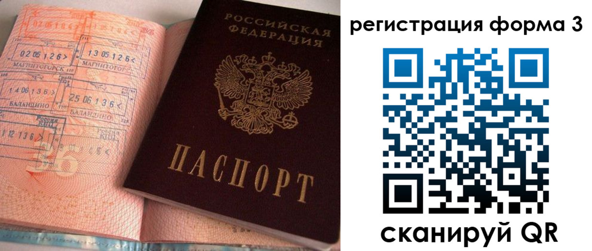 временная регистрация поиск в Павловске
